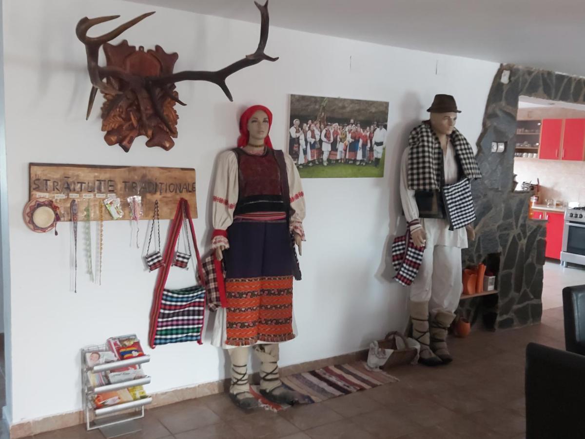 Pensiunea Schilacy Grosii Tiblesului Exteriör bild