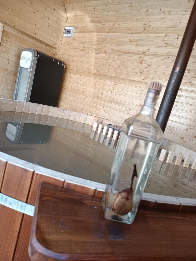 Pensiunea Schilacy Grosii Tiblesului Exteriör bild